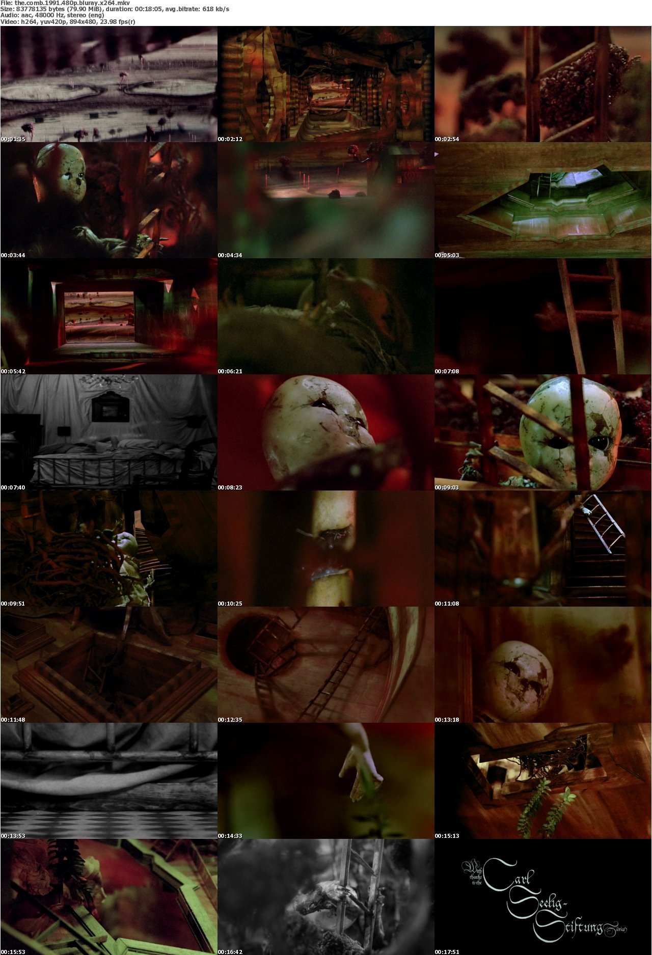 The Comb 1991 480p BluRay x264