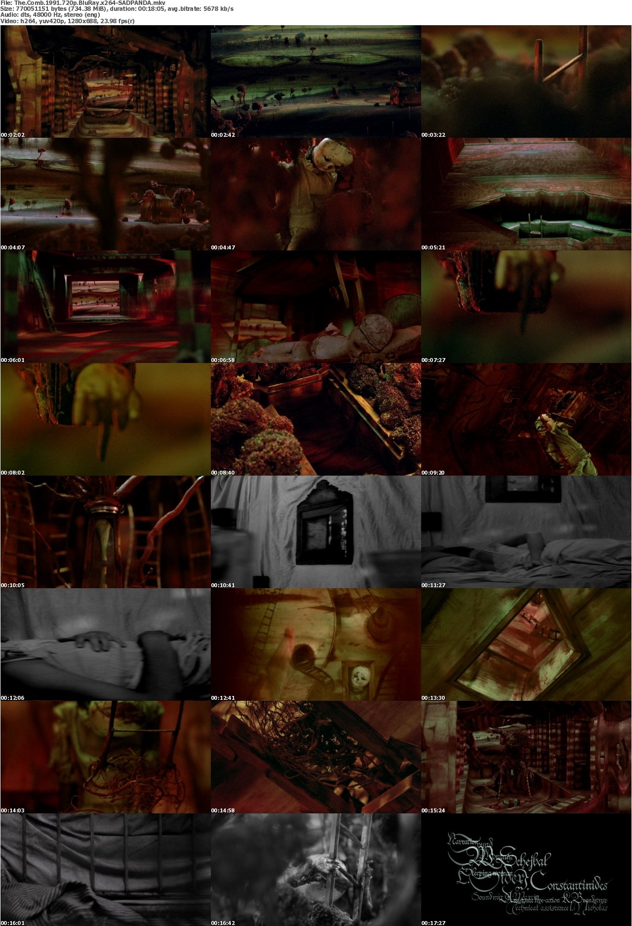The Comb 1991 720p BluRay x264-SADPANDA