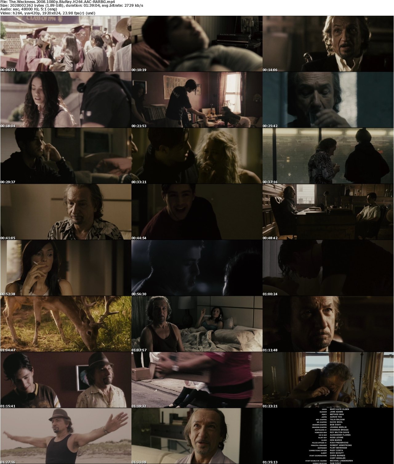 The Wackness 2008 1080p BluRay H264 AAC-RARBG
