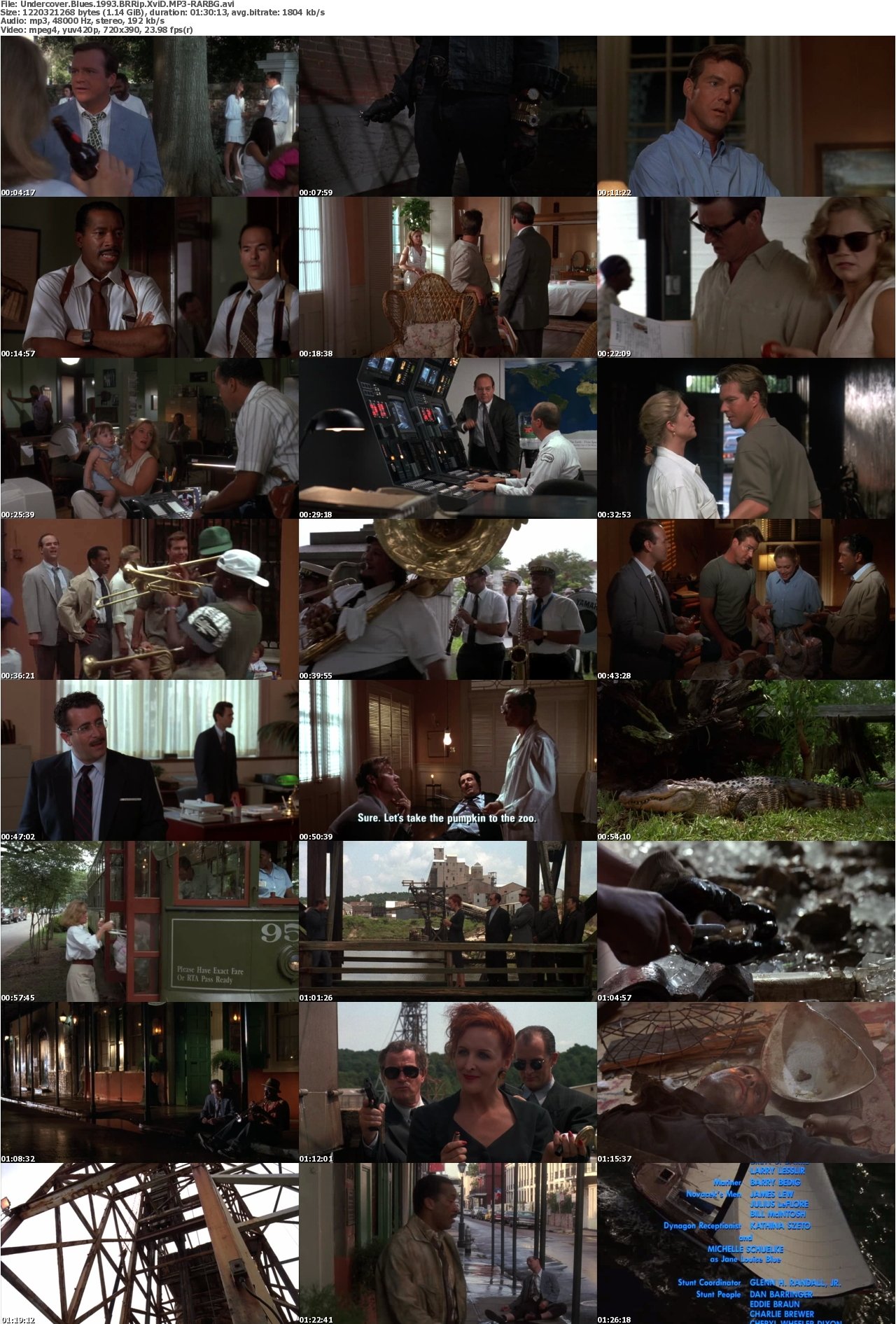 Undercover Blues 1993 BRRip XviD MP3-RARBG