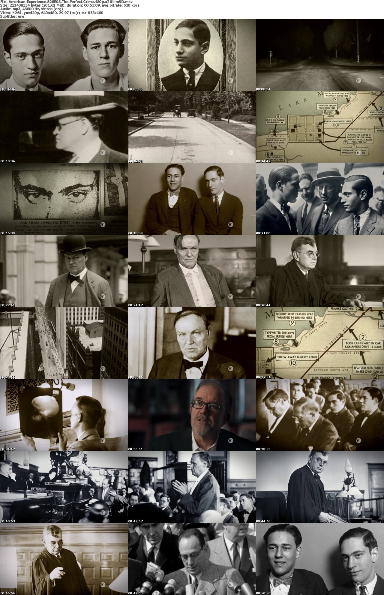 American Experience S28E08 The Perfect Crime 480p x264-mSD