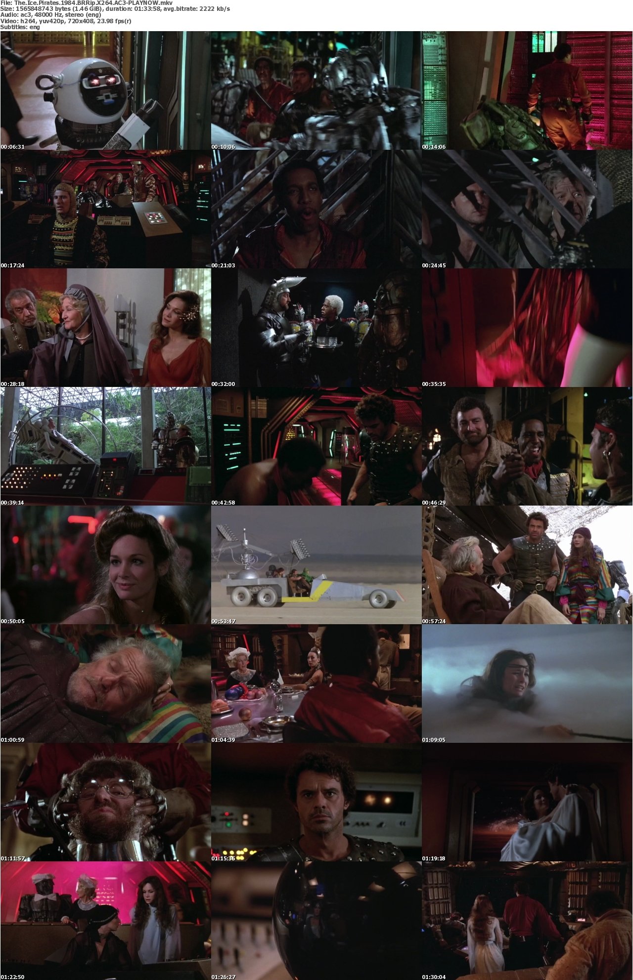 The Ice Pirates 1984 BRRip X264 AC3-PLAYNOW