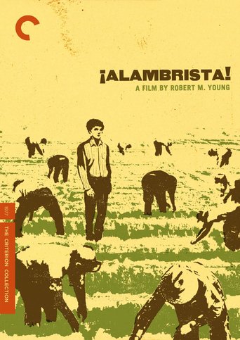 Alambrista 1977 BRRip X264 AC3-PLAYNOW