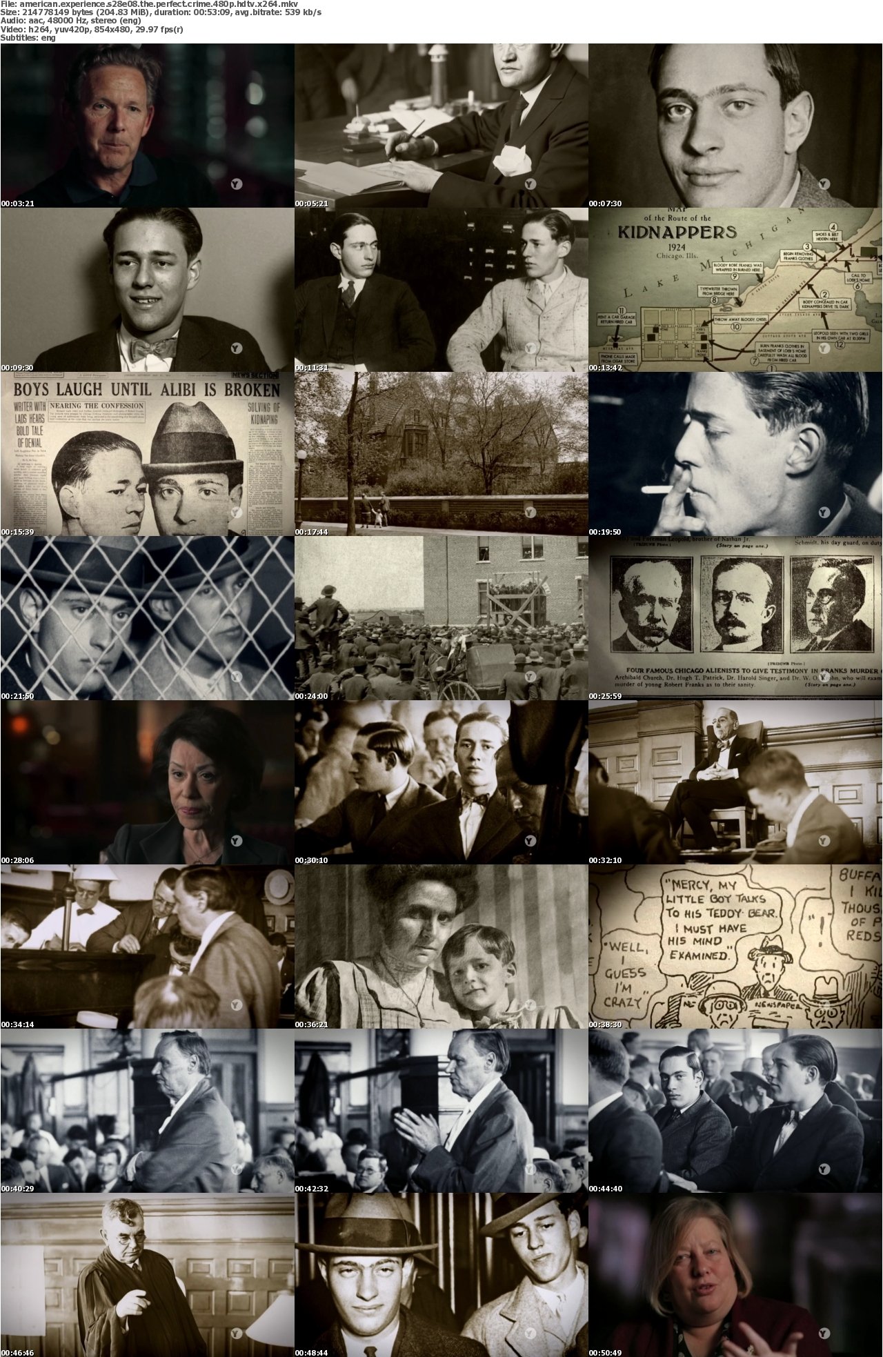 American Experience S28E08 The Perfect Crime 480p HDTV x264