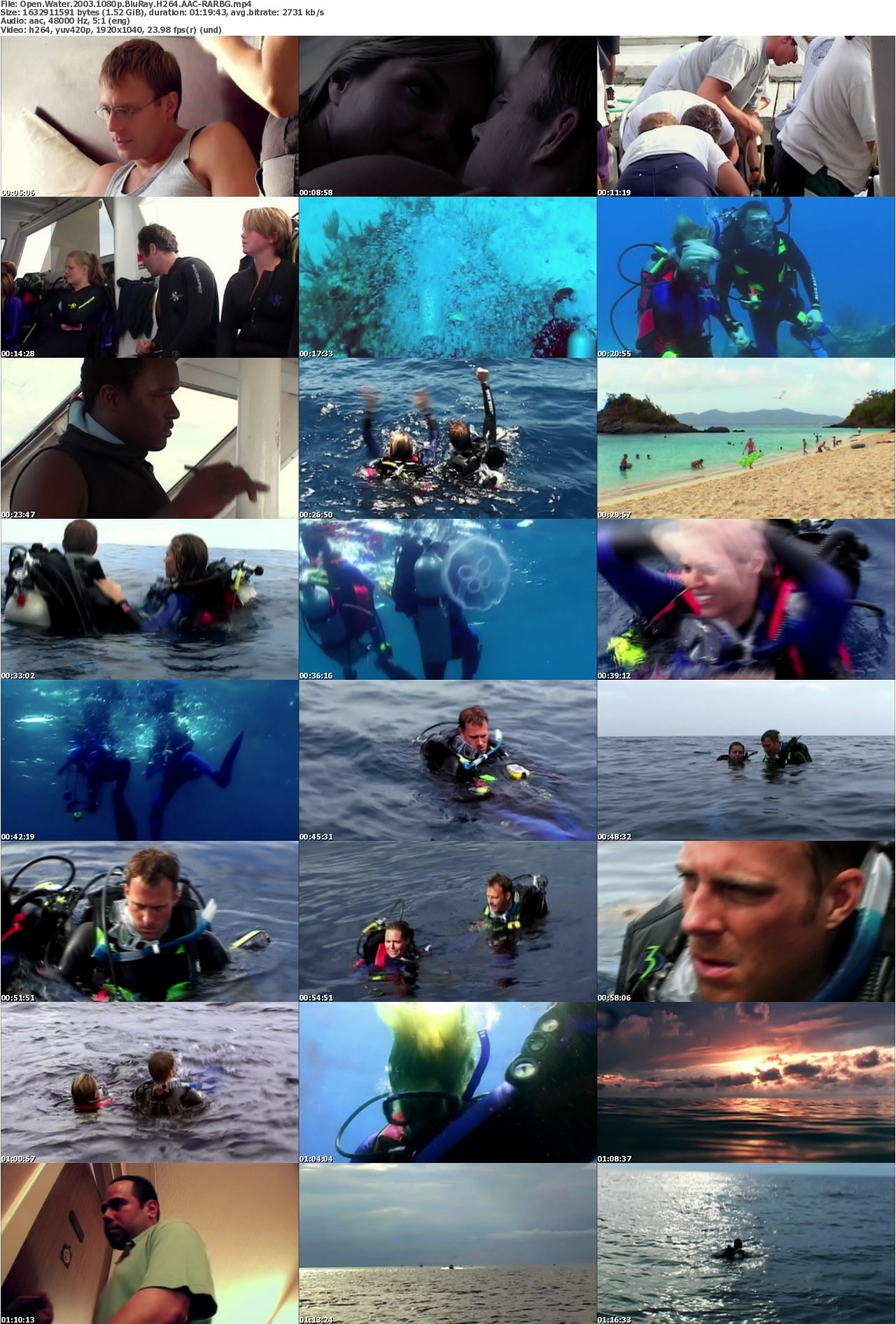 Open Water 2003 1080p BluRay H264 AAC-RARBG