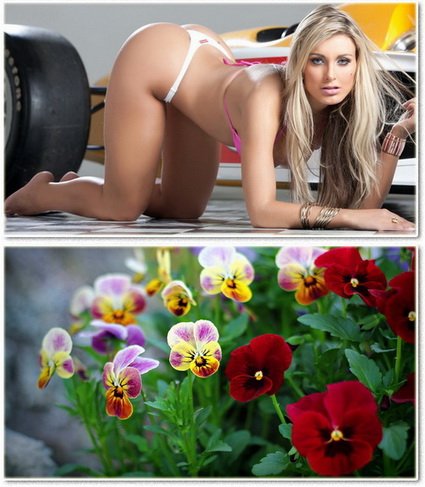 Wallpapers on a desktop 862