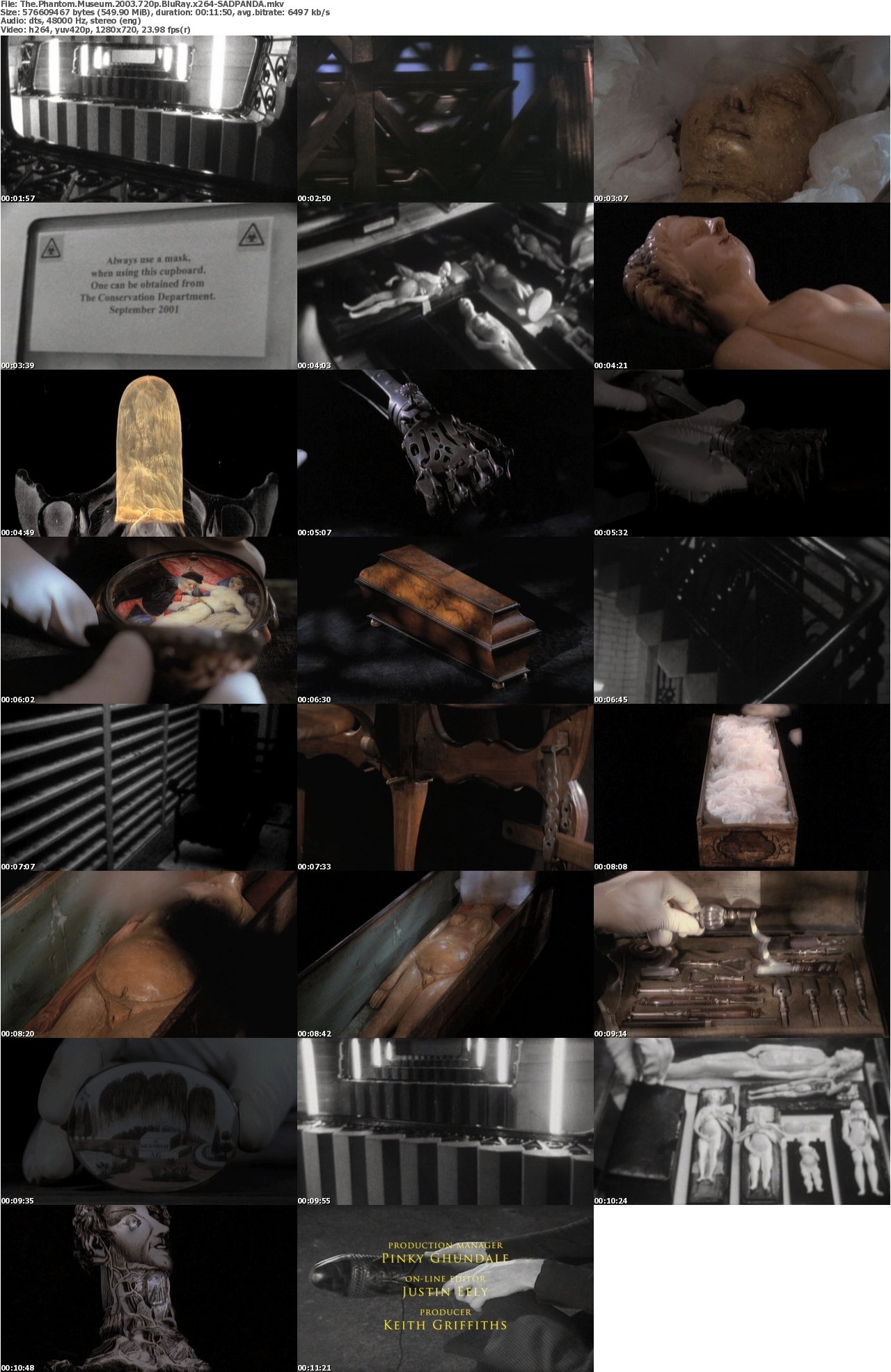 The Phantom Museum 2003 720p BluRay x264-SADPANDA