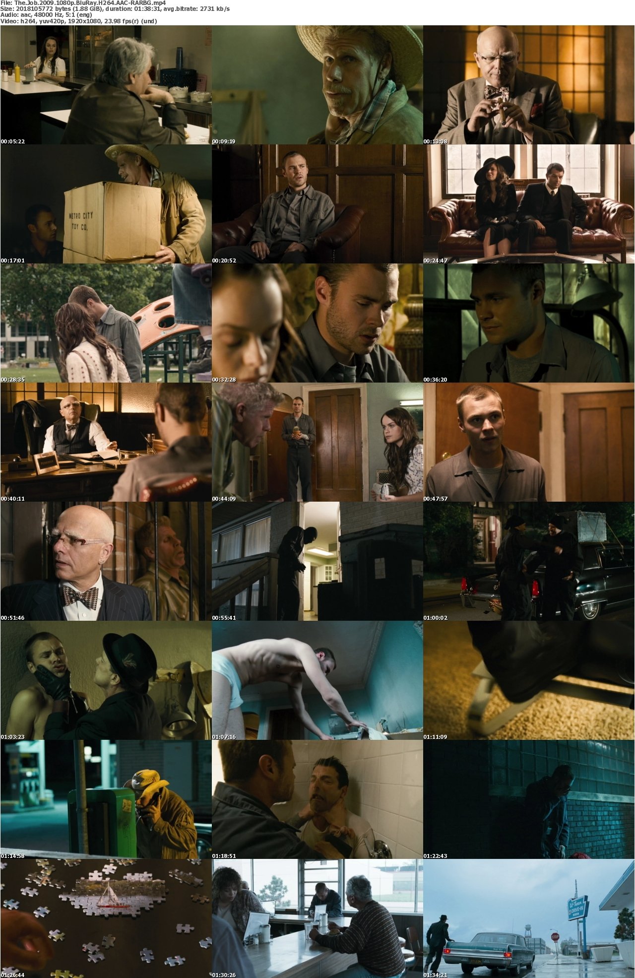 The Job 2009 1080p BluRay H264 AAC-RARBG