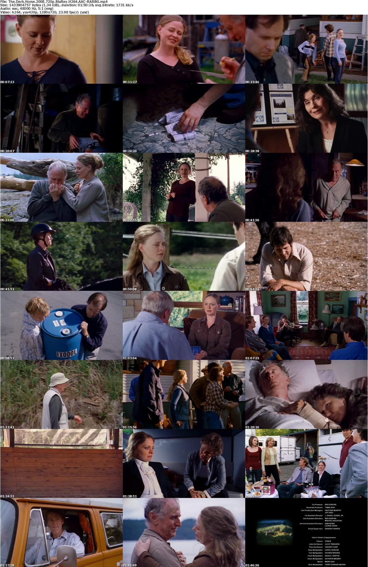 The Dark Horse 2008 720p BluRay H264 AAC-RARBG