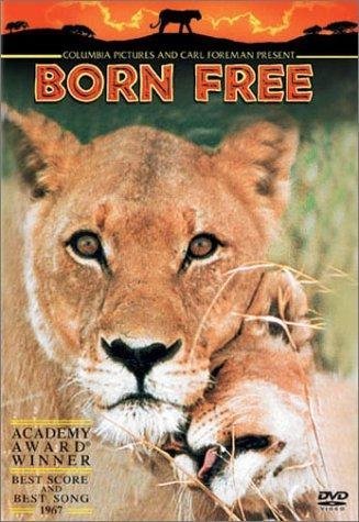 Born Free 1966 720p BluRay x264-SADPANDA