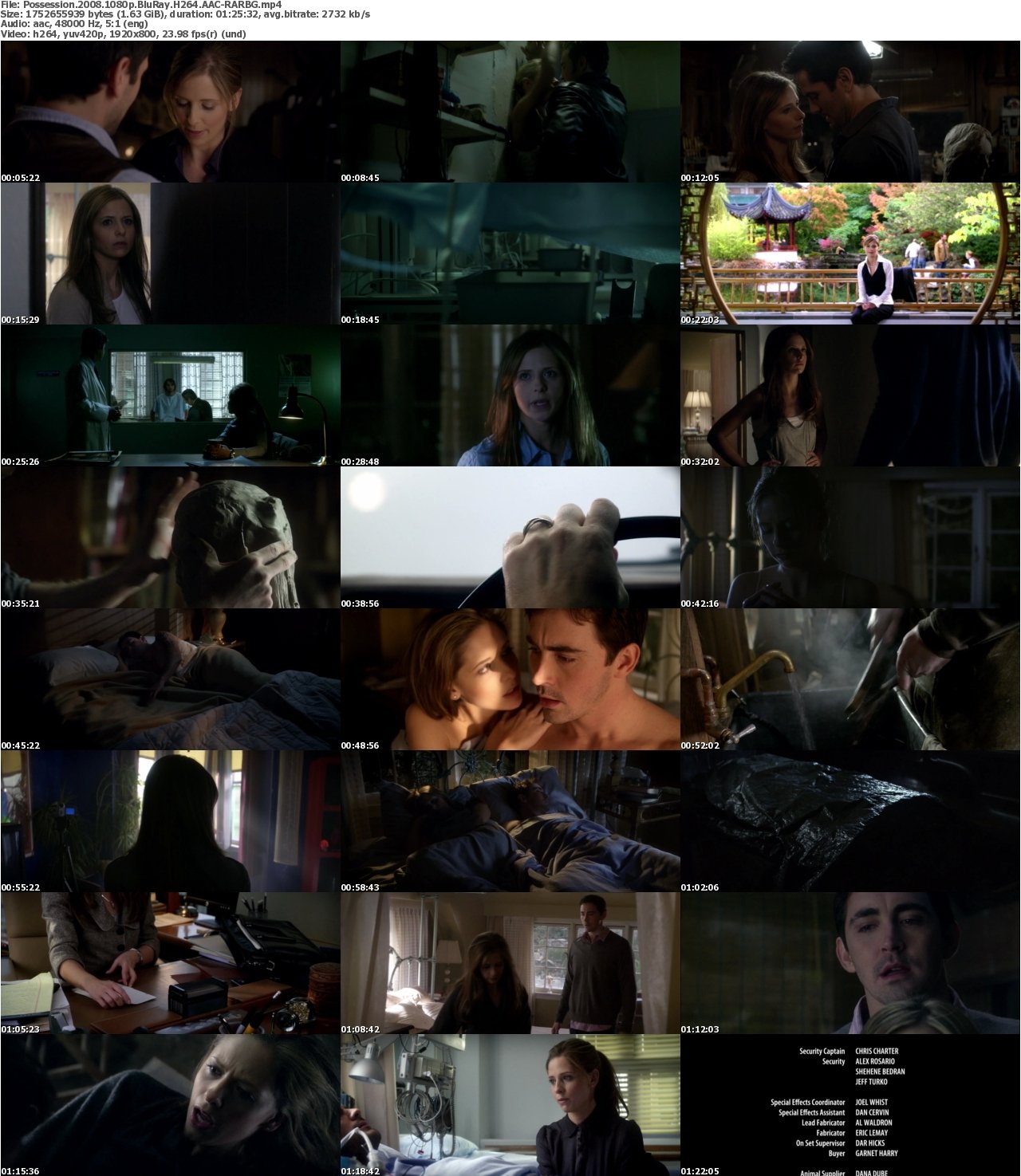 Possession 2008 1080p BluRay H264 AAC-RARBG