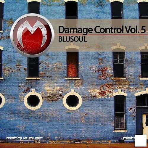 Blusoul - Damage Control Vol.5 (2016)