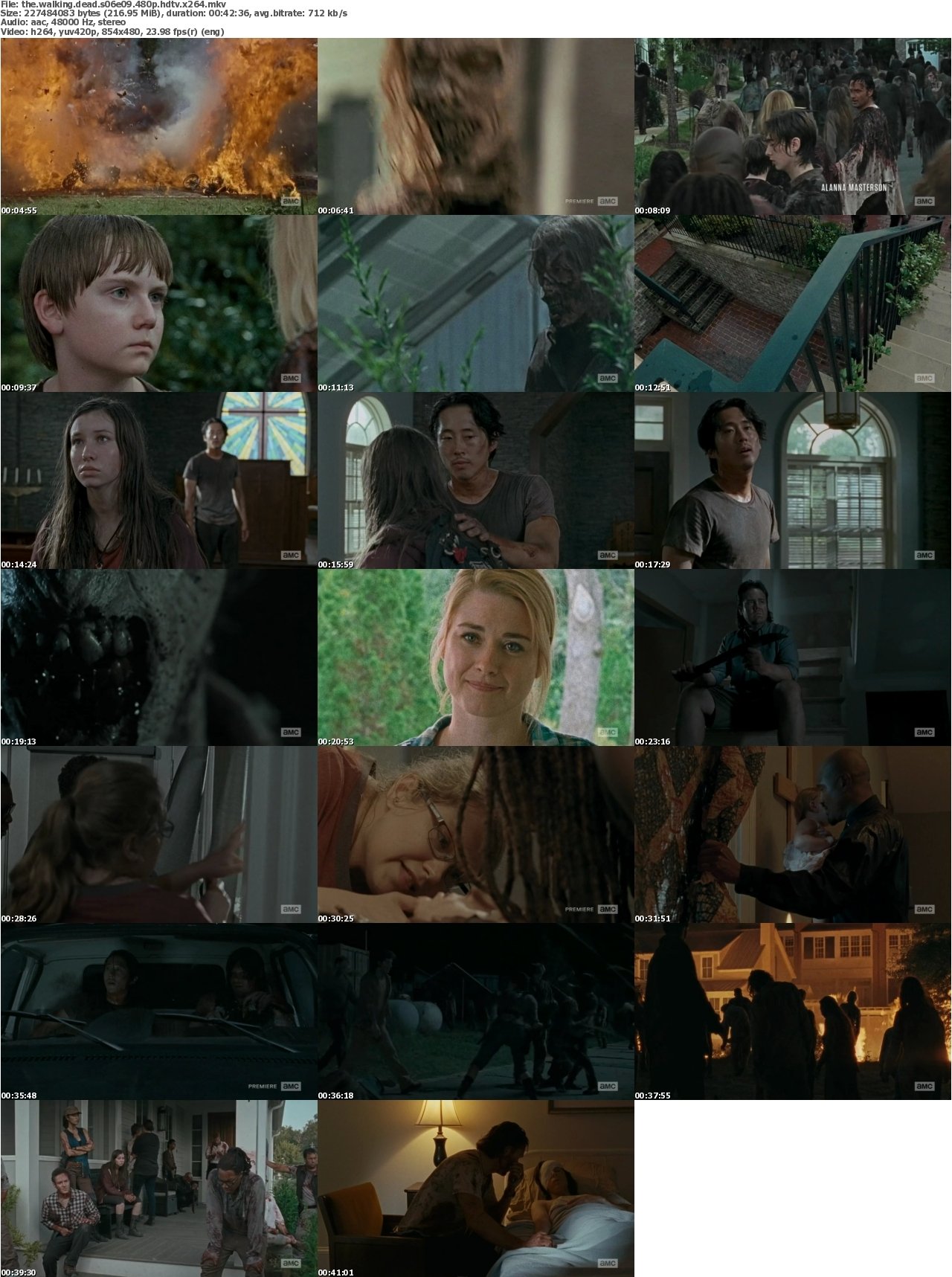 The Walking Dead S06E09 480p HDTV x264