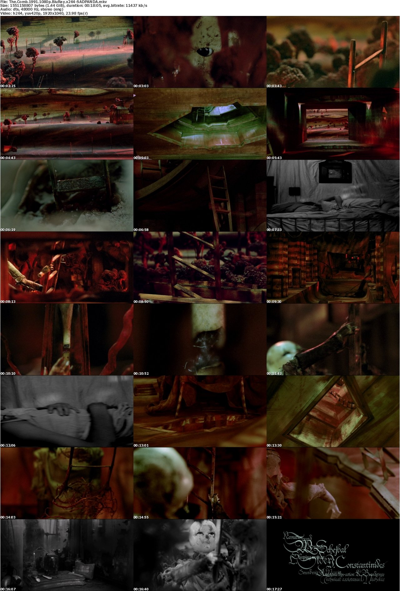 The Comb 1991 1080p BluRay x264-SADPANDA