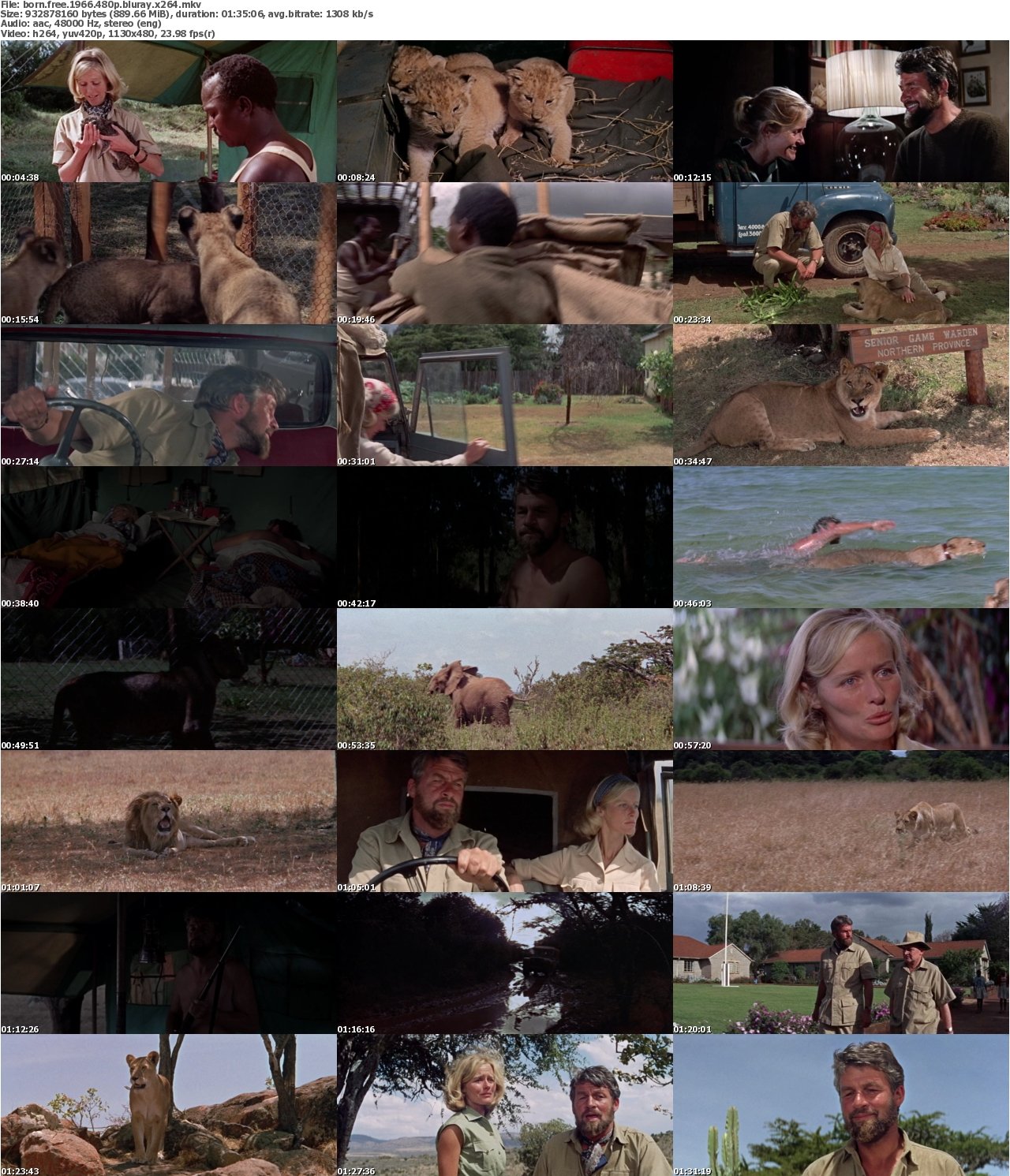 Born Free 1966 480p BluRay x264