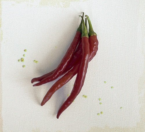 Conor Donohue - Cayenne (2016)