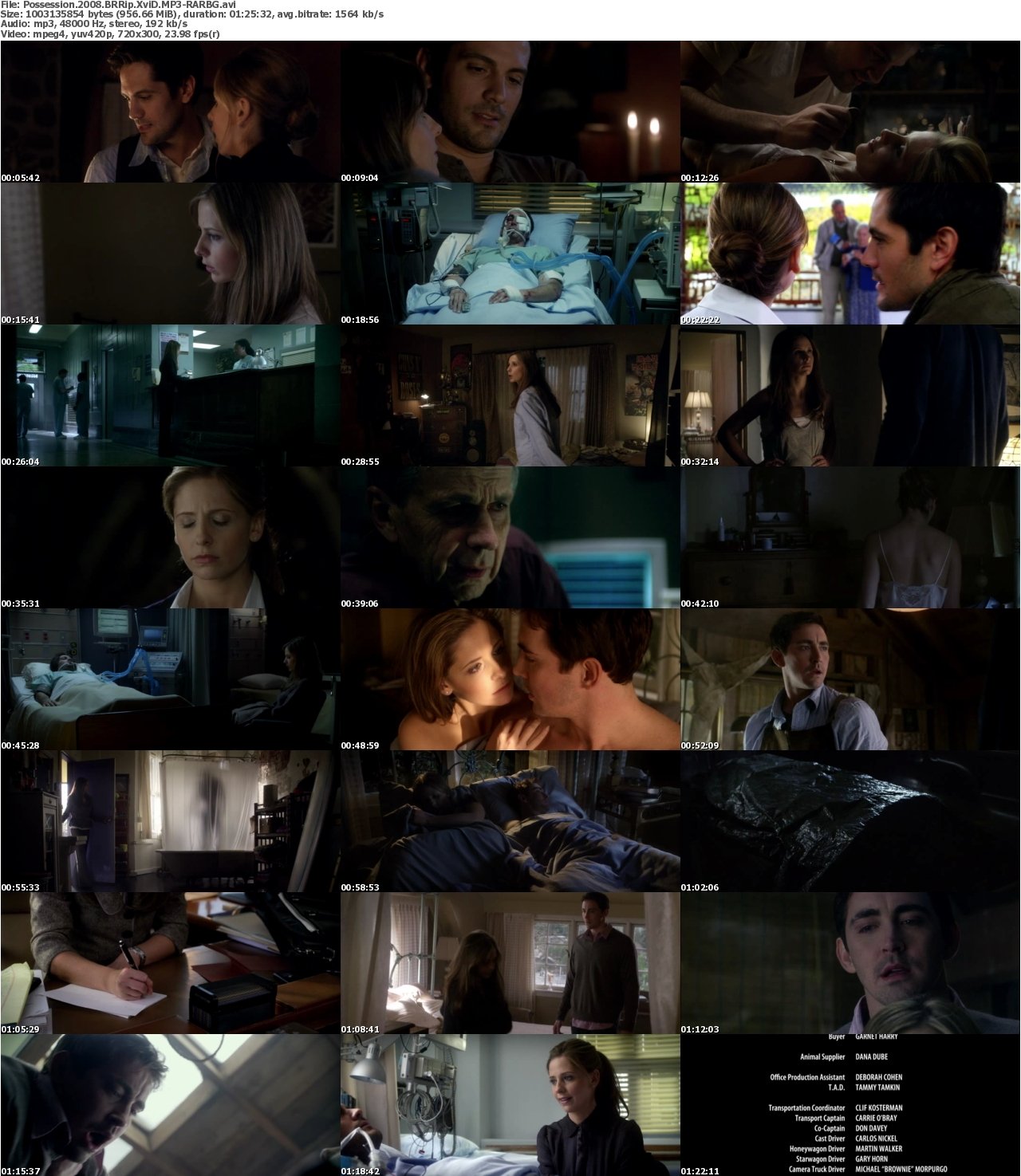 Possession 2008 BRRip XviD MP3-RARBG