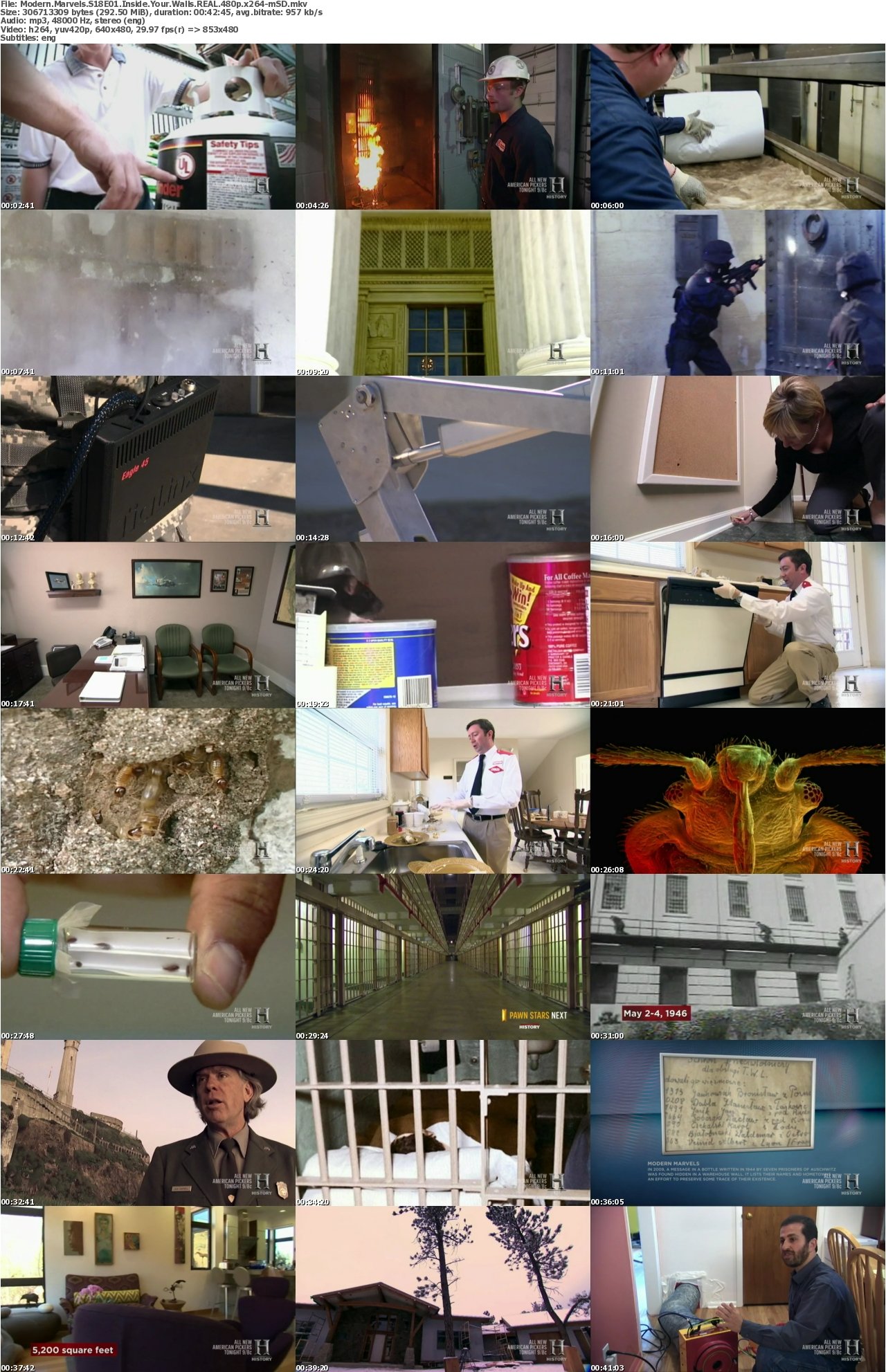Modern Marvels S18E01 Inside Your Walls REAL 480p x264-mSD