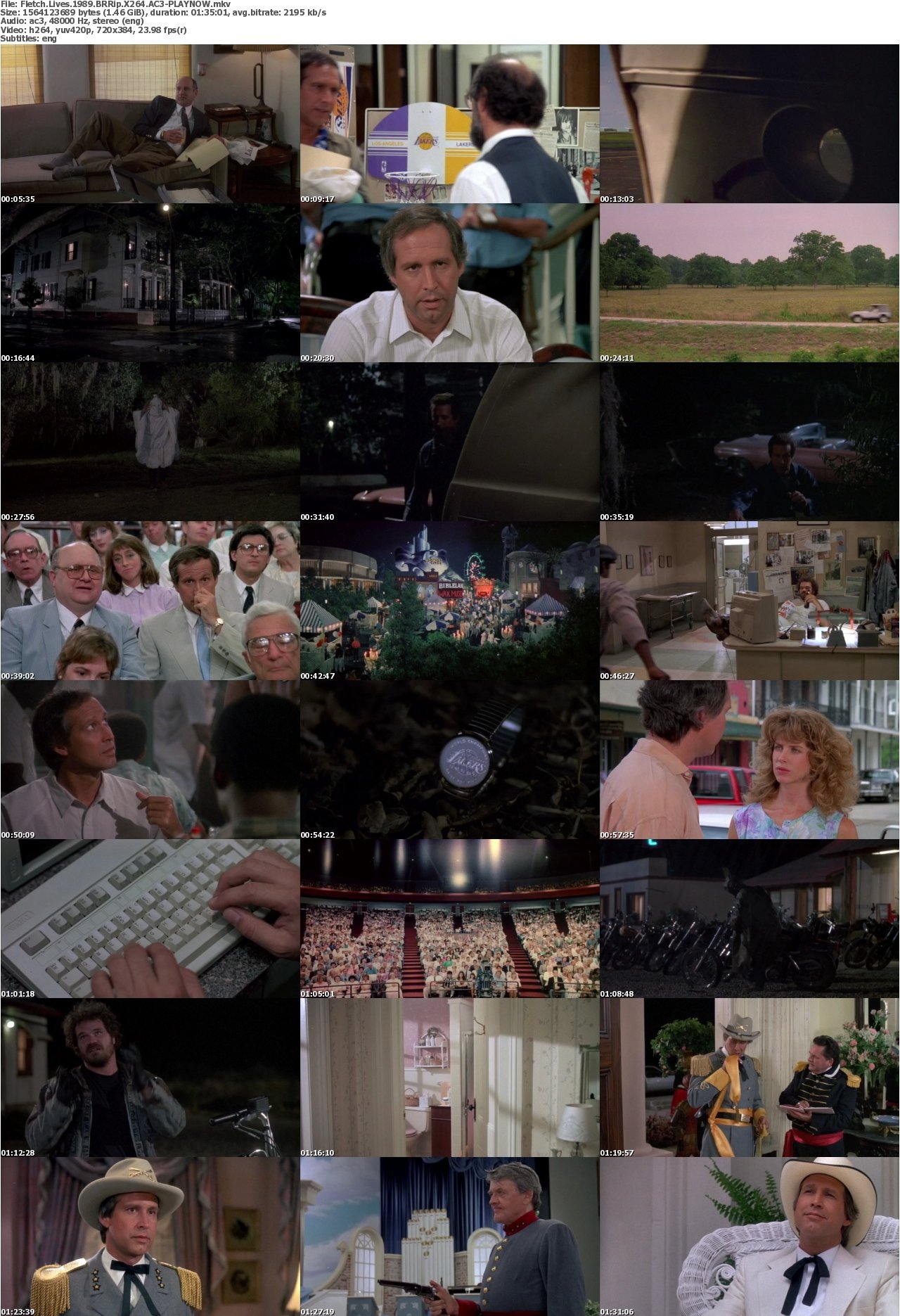 Fletch Lives 1989 BRRip X264 AC3-PLAYNOW
