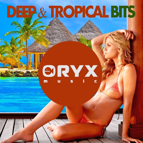Deep And Tropical Bits (2016)