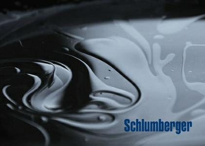 Schlumberger Petrel 2014.2