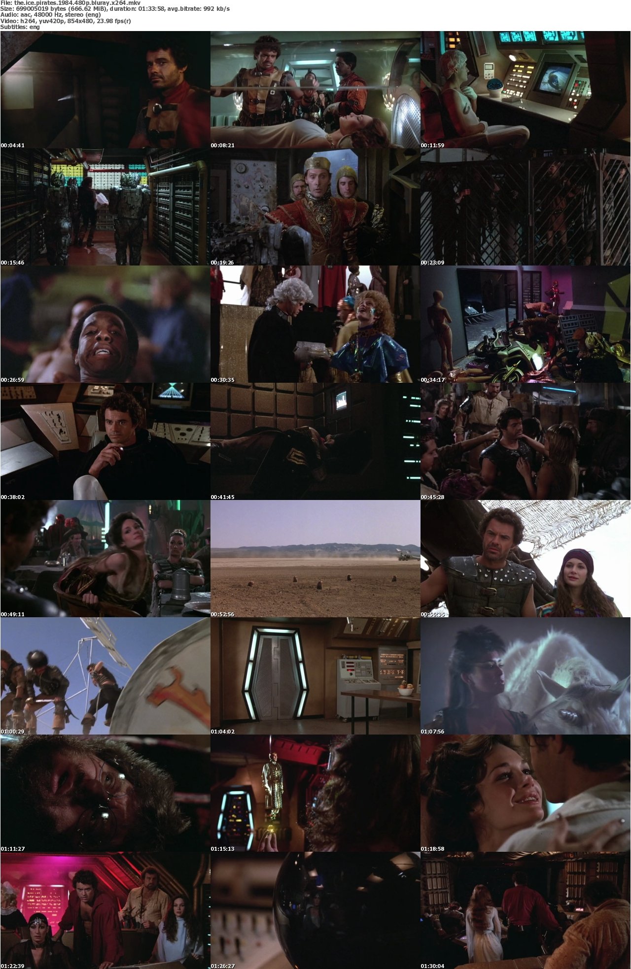 The Ice Pirates 1984 480p BluRay x264