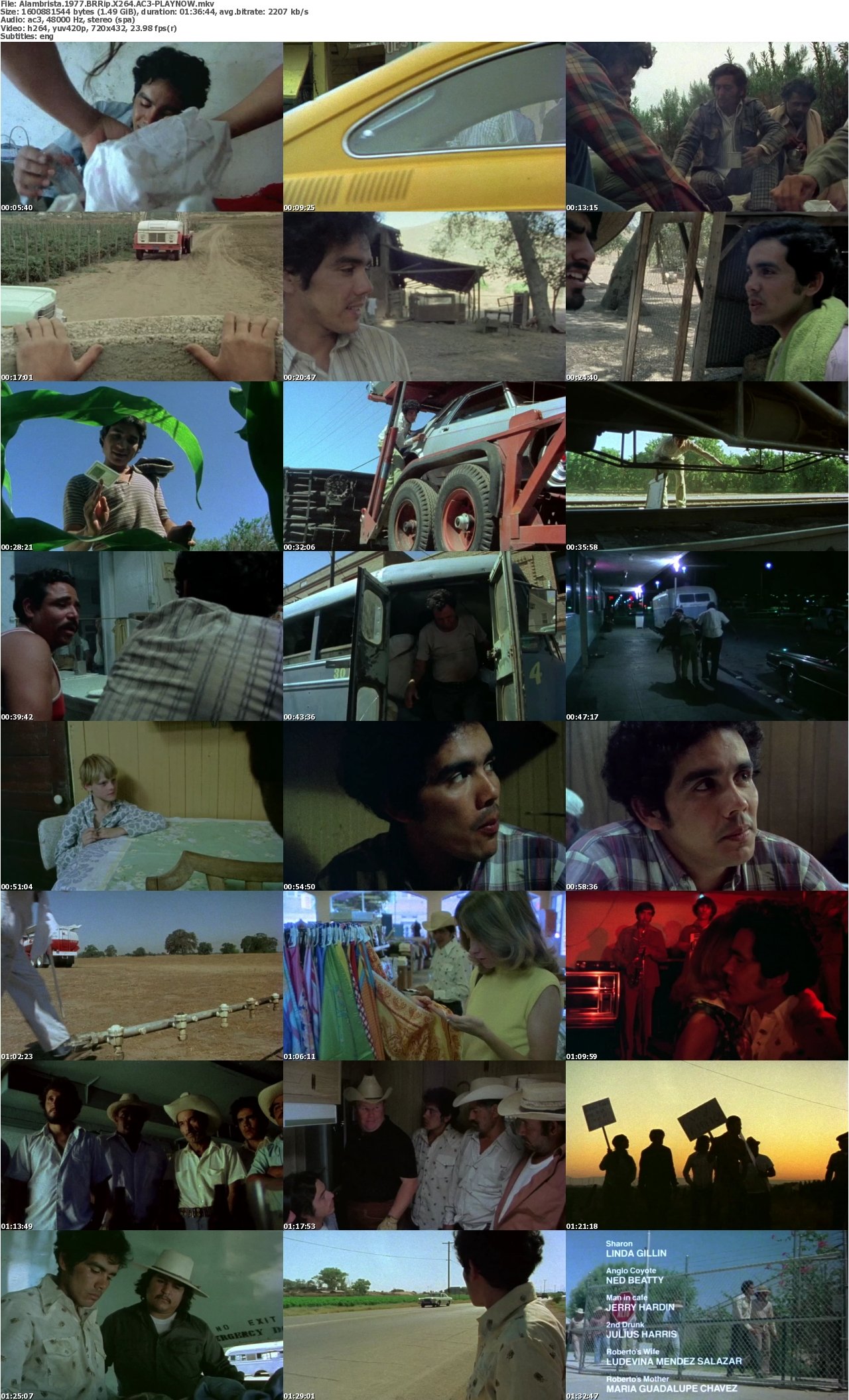 Alambrista 1977 BRRip X264 AC3-PLAYNOW