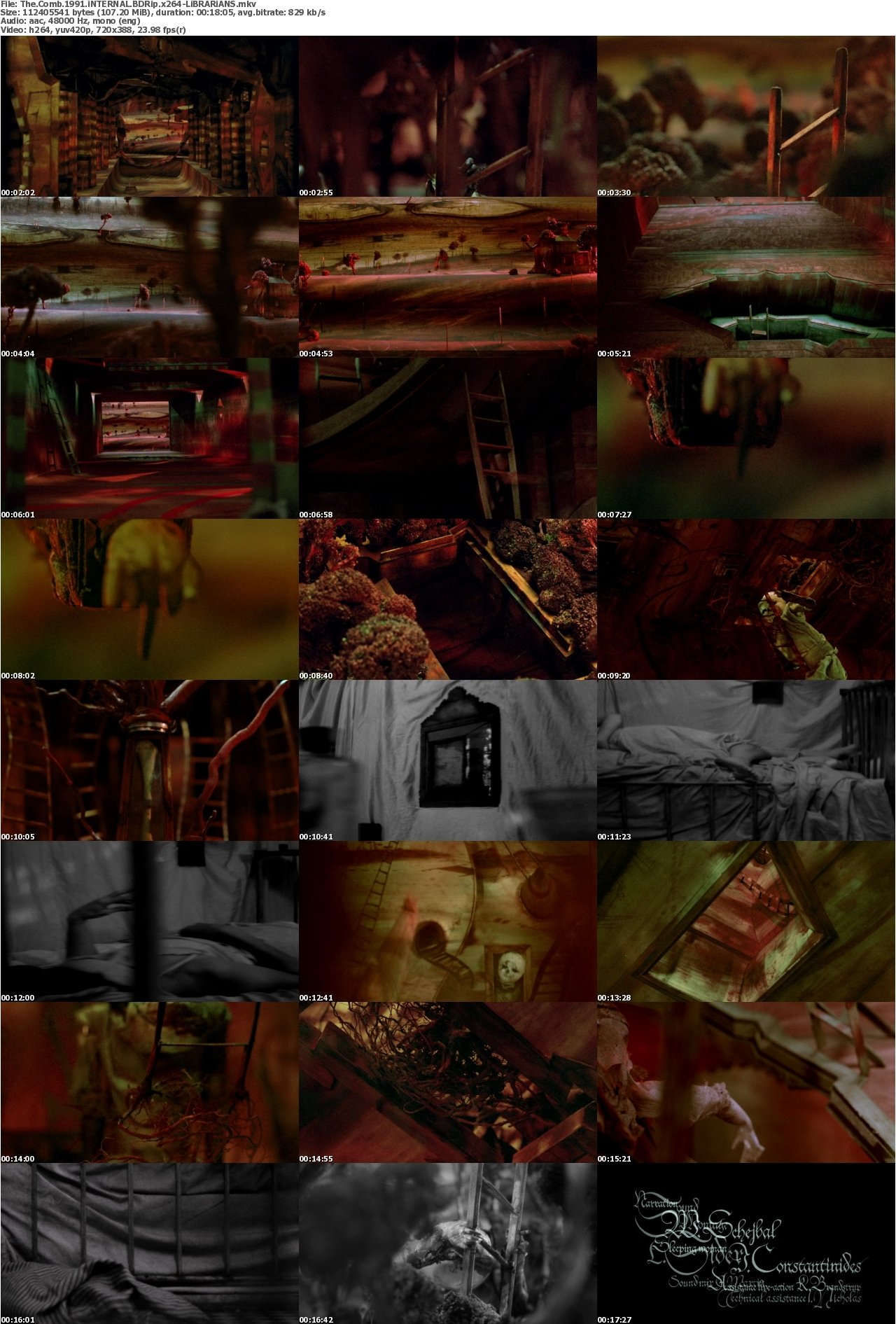 The Comb 1991 iNTERNAL BDRip x264-LiBRARiANS