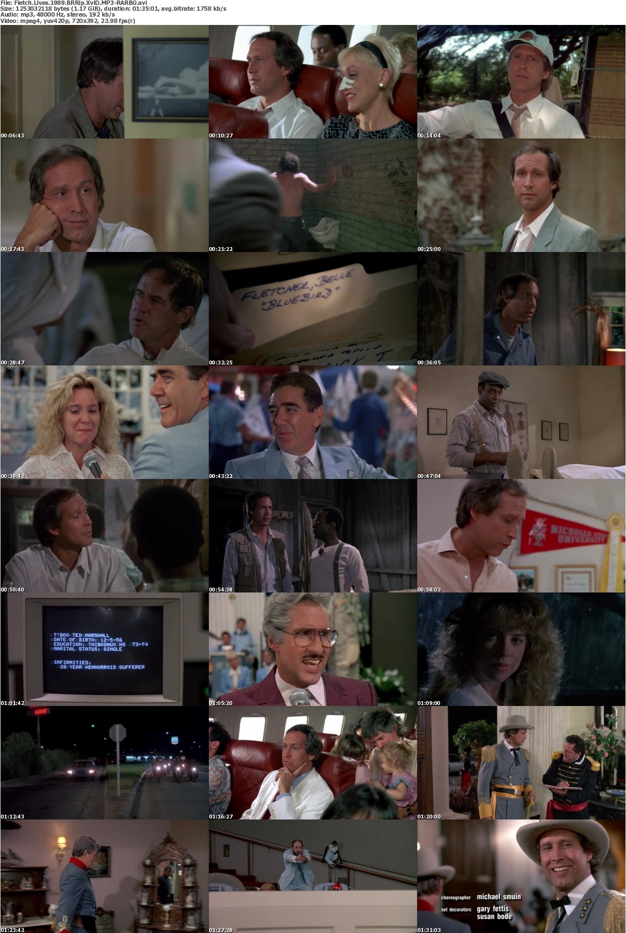 Fletch Lives 1989 BRRip XviD MP3-RARBG