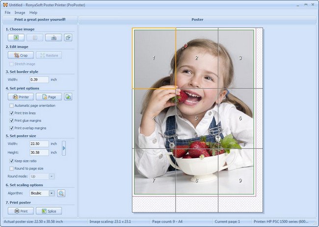 Ronyasoft Poster Printer 3.02.06 Portable