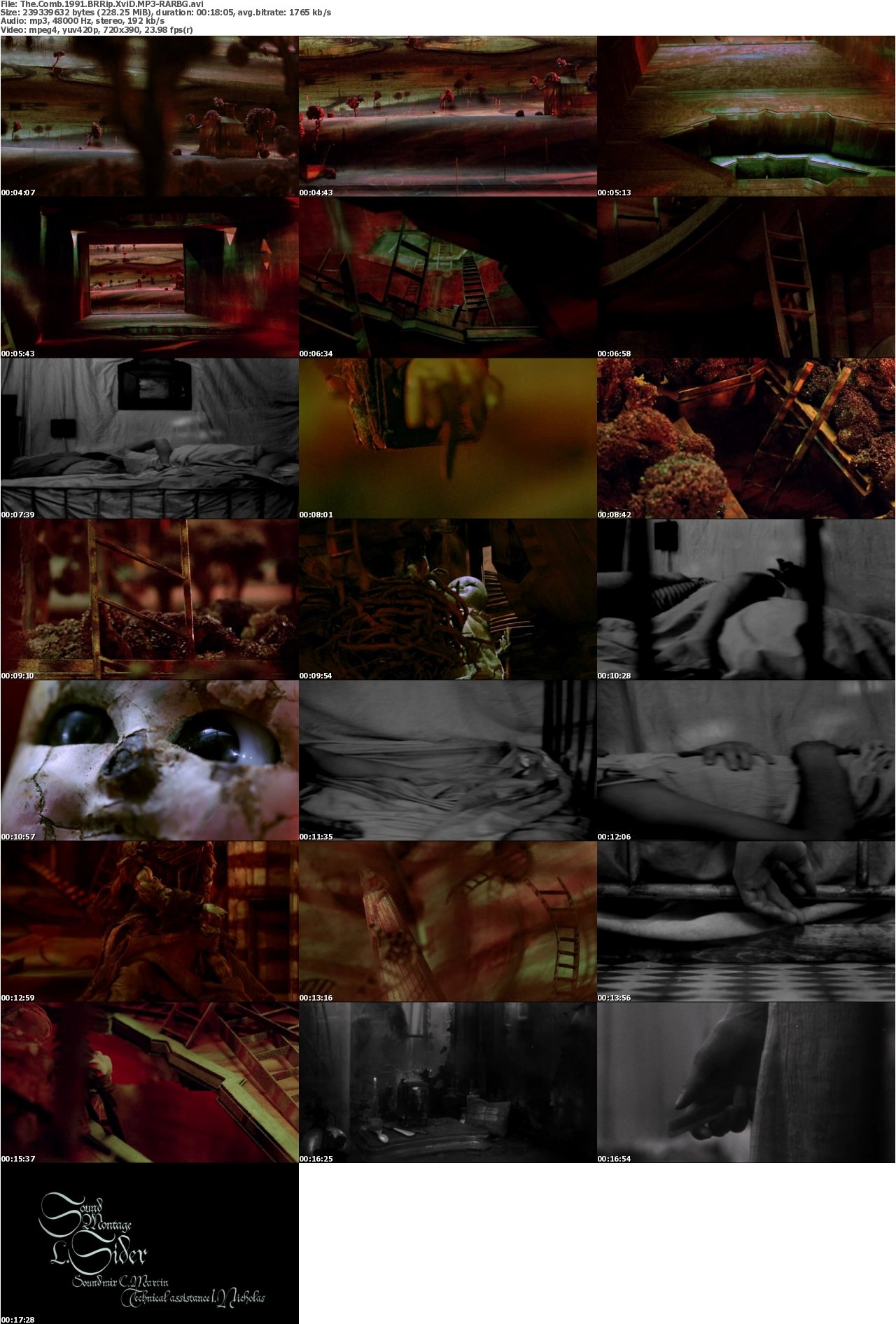 The Comb 1991 BRRip XviD MP3-RARBG