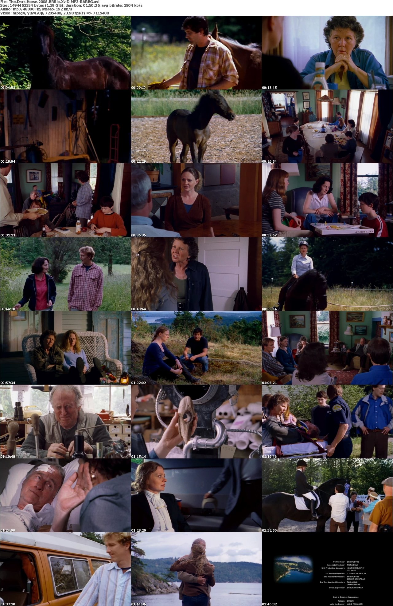 The Dark Horse 2008 BRRip XviD MP3-RARBG