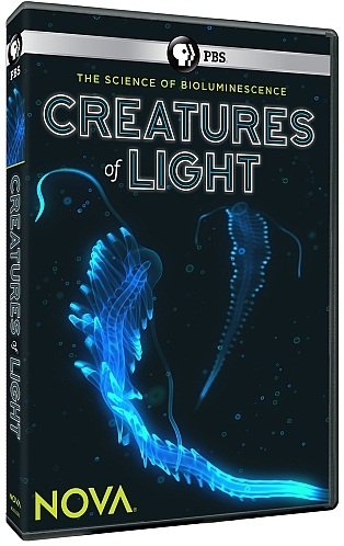 PBS - Nova: Creatures of Light (2016) 720p HDTV x264-W4F