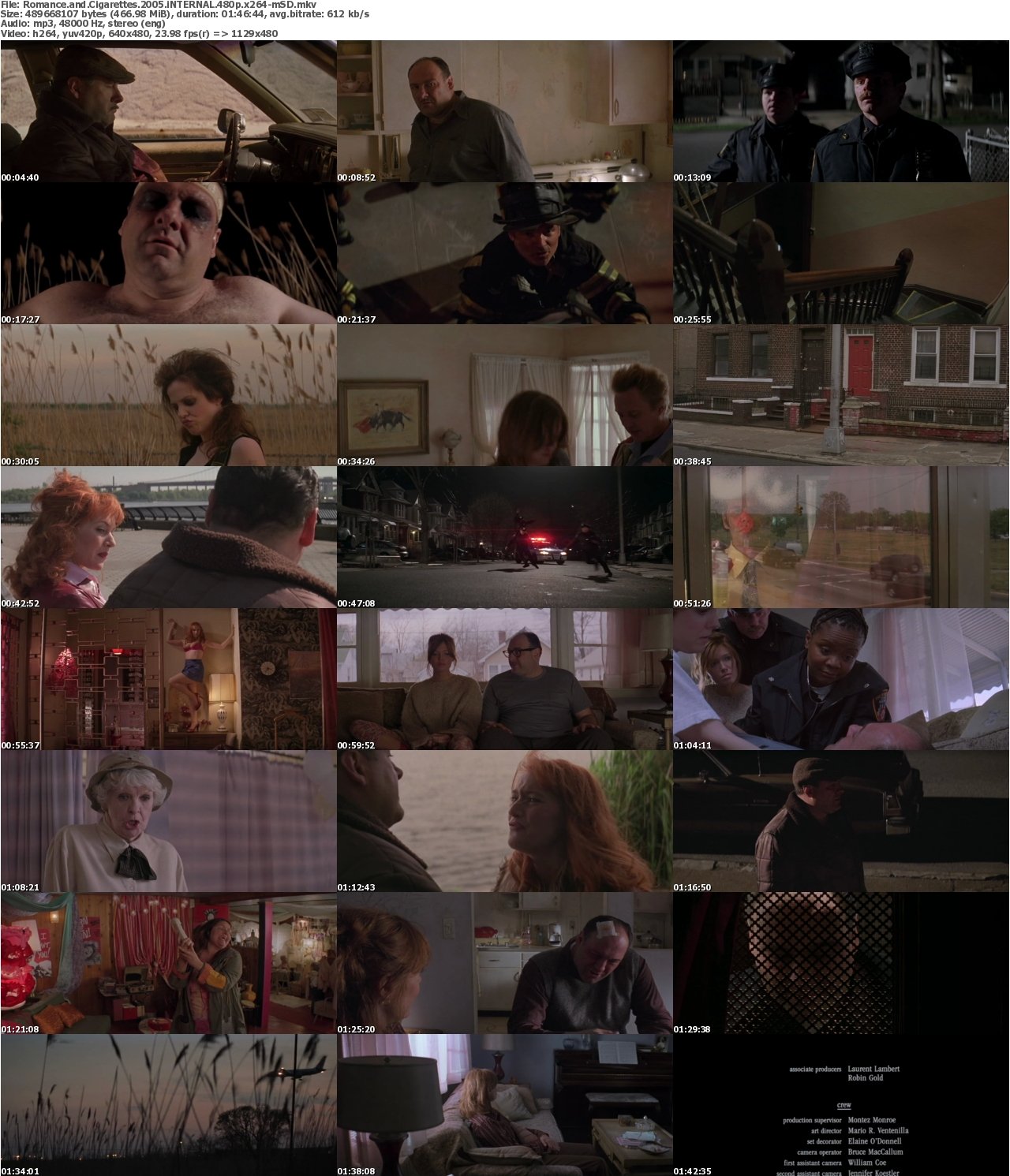 Romance and Cigarettes 2005 iNTERNAL 480p x264-mSD