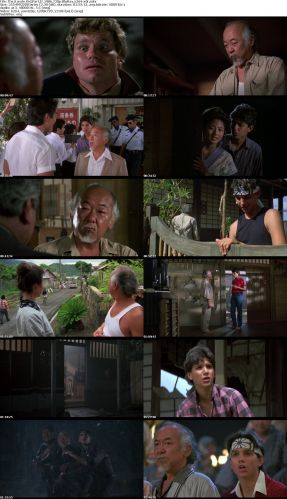 The Karate Kid Part II 1986 720p BluRay x264 x0r
