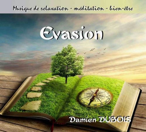 Damien Dubois - Evasion (2015) mp3, flac