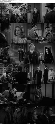 The Big Sleep 1946 480p x264-mSD