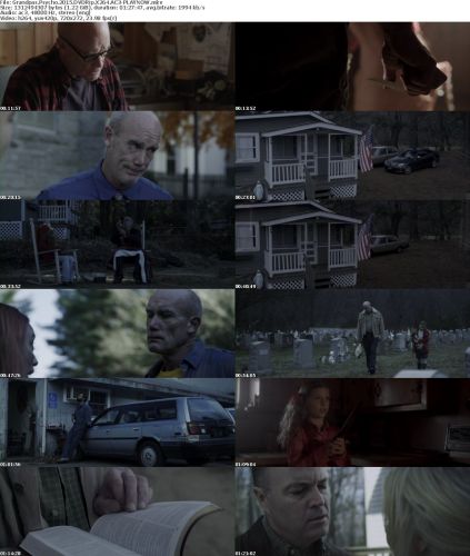 Grandpas Psycho 2015 DVDRip X264 AC3-PLAYNOW