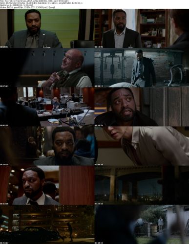 Secret In Their Eyes 2015 720p WEB-DL H264 AC3-EVO