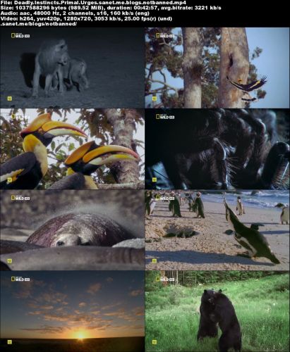 National Geographic - Deadly Instincts: Primal Urges (2016) 720p HDTV x264-MVGroup