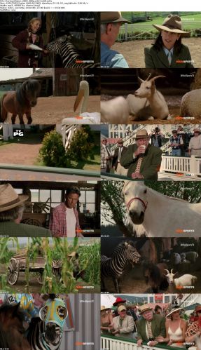 Racing Stripes 2005 480p x264-mSD