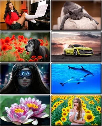 Computer Desktop Wallpapers Collection. Part (1438)