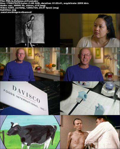 PBS - In Defense of Food (2015) 720p HDTV x264-MVGroup