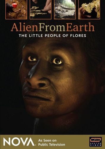 PBS Nova - Alien from Earth: The Little People of Flores (2008) 720p HDTV x264-MVGroup