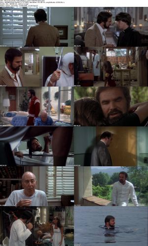 The End 1978 720p BluRay x264-SADPANDA