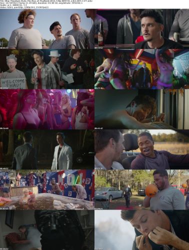 Blue Mountain State The Rise of Thadland 2016 720p WEB-DL x264 DD5.1-iFT