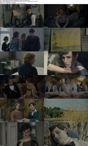 The Danish Girl 2015 720p WEB-DL H264 AC3-EVO