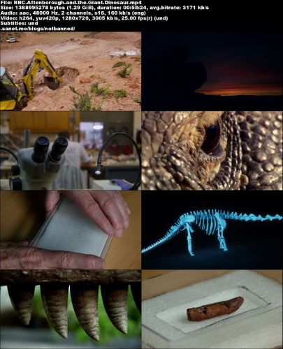 BBC - Attenborough and the Giant Dinosaur (2016) 720p HDTV x264-MVGroup
