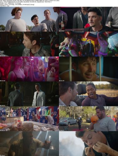 Blue Mountain State The Rise of Thadland 2016 1080p WEB-DL DD5.1 H264-FGT