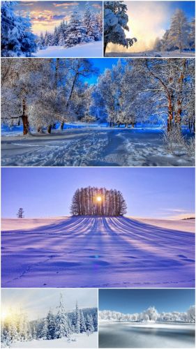 Winter (Part 14)